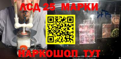 шишки Кингисепп