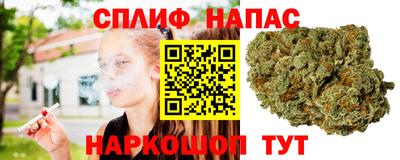 шишки Кингисепп